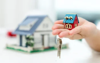 Novo regime de locação de bens próprios