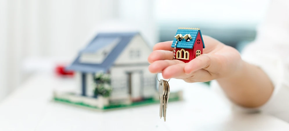 Novo regime de locação de bens próprios